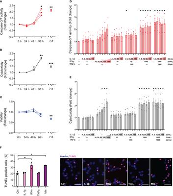 Characterization of the functional and transcriptomic effects of pro-inflammatory cytokines on human EndoC-βH5 beta cells